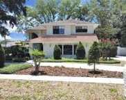 1208 Magdalene Hill Drive, Tampa image