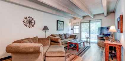 1265 Elizabeth Street Unit 207, Denver