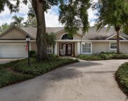 1714 Pinewood Drive, Clearwater image