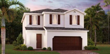 1705 Petiole Place, Kissimmee