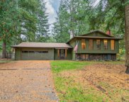 12238 PINETREE, Hayden image