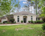 502 Mayhaw Branch  Drive, Mandeville image