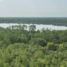 land search