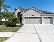 3132 Donington Castle Lane, Land O' Lakes image