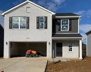 11421 Caswell Springs Way, Louisville image