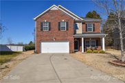 1079 Albany Park  Drive, Fort Mill image