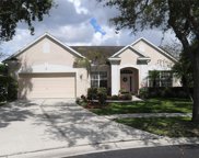 12903 Greenville Court, Tampa image