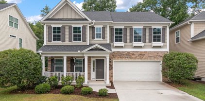 118 Elliott Creek Lane, Summerville