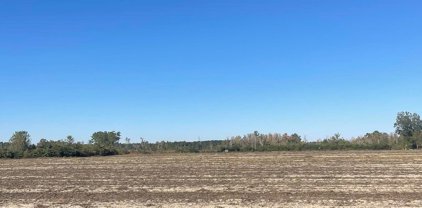TBD Joyner Swamp Rd., Galivants Ferry