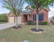 4812 Carrotwood  Drive, Fort Worth image