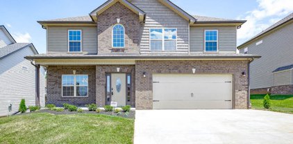 267 E Creek Coyote Trail, Clarksville