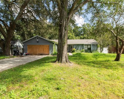 5393 Lighthouse Road, Orlando