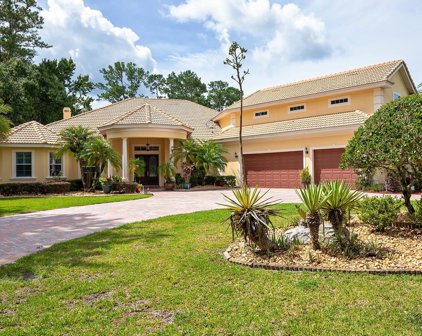 451 Mangrove Ct Court, Lake Mary