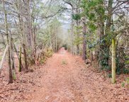 Hanahan Lane, Leesville image