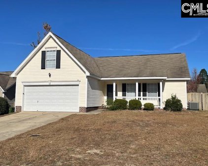1119 Hamilton Place Circle, Columbia