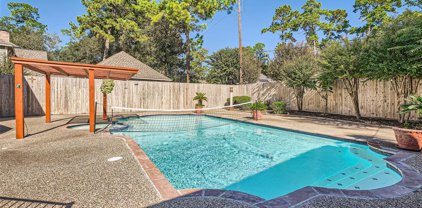 15706 Cannion Falls Drive, Tomball