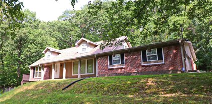 2202 Romaine Creek  Road, Fenton