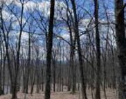 77 Chipmunk Road, Bushkill image