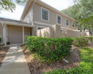 11858 Wildeflower Place, Temple Terrace image