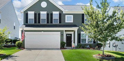 541 Bellot Winds, Duncan