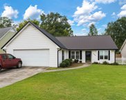 1406 Timber Circle, Helena image