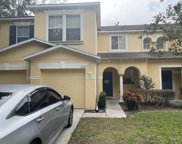 10823 Great Carlisle Court, Riverview image