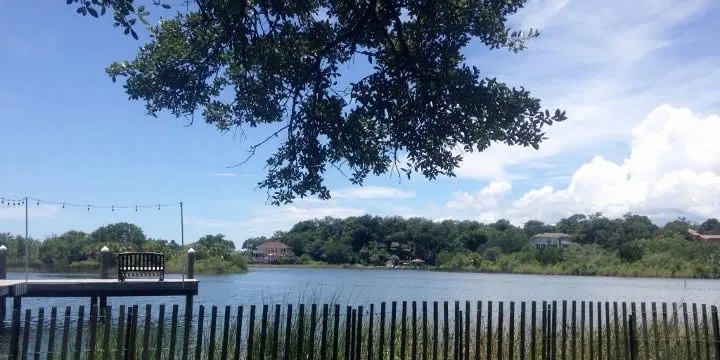 East  Hill Waterfront homes