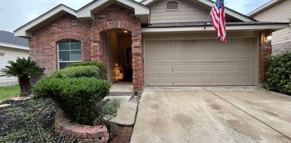 9627 Palomino Path, San Antonio