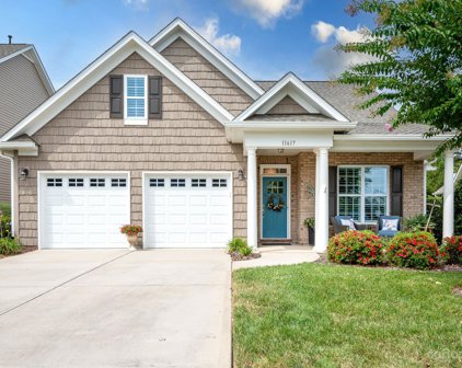 11617 Mount Argus  Drive, Cornelius
