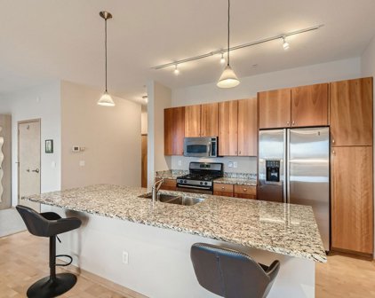 4525 Park Commons Drive Unit #321, Saint Louis Park