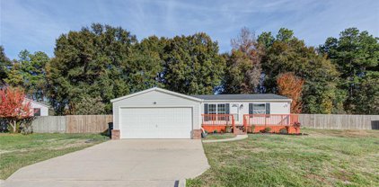 16557 Desert Star Drive, Conroe