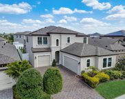 13106 Foxtail Fern Drive, Riverview image