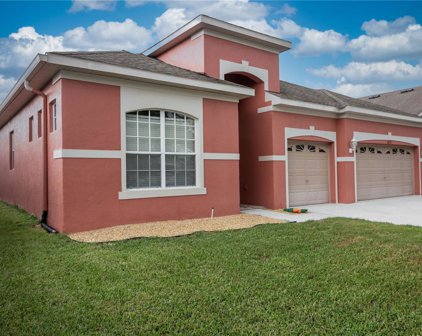 6722 Bluff Meadow Court, Wesley Chapel