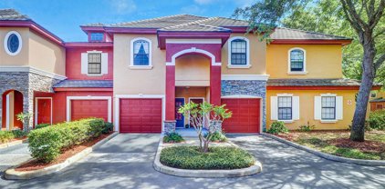 2139 Chianti Place Unit 15-0156, Palm Harbor