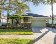 20131 Heron Crossing, Tampa image