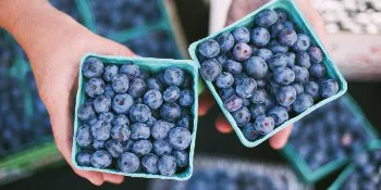 blueberries