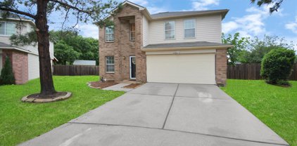 7819 American Holly Court, Cypress