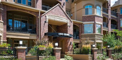 1100 N Grant Street Unit 108, Denver