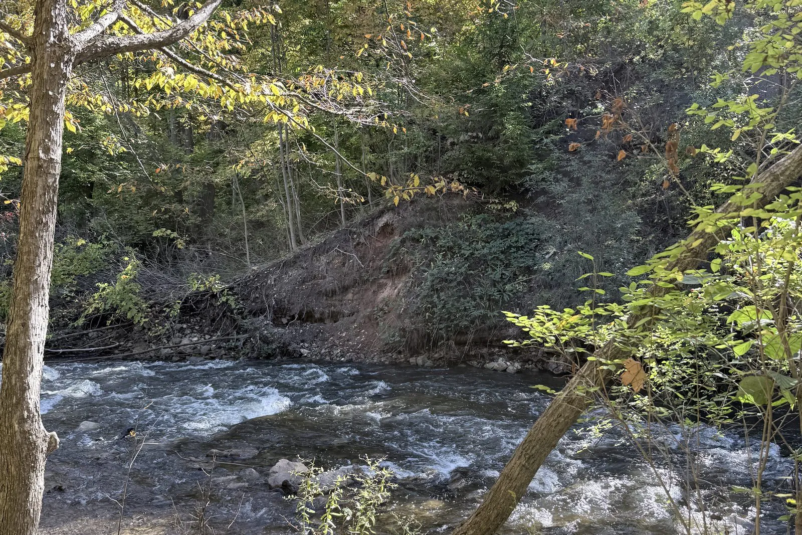 Bear River rapids under fall color on the Bear River Trail, Petoskey