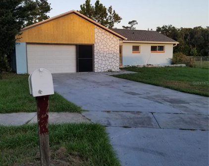 2433 Tree Ridge Lane, Orlando