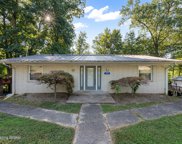 474 Lake Shore Ln, Leitchfield image