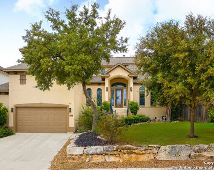 3027 Spider Lily, San Antonio
