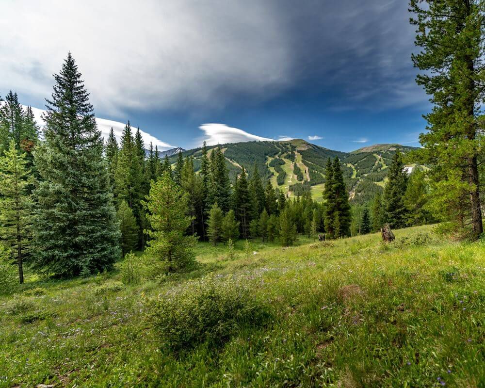 Copper Mountain Real Estate