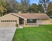 1101 Ridgefield Drive, Valrico image