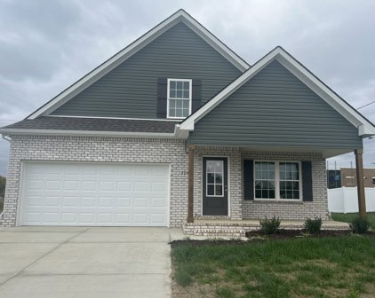 2711 Mesa Dr, Christiana