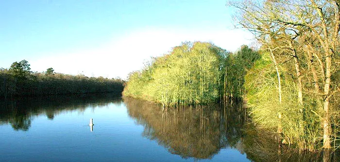 Baylee Estates River Views