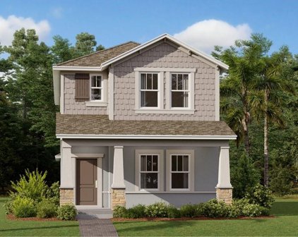 4150 Pino Street, Apopka