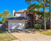 20410 Maple Meadows Court, Cypress image