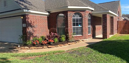 12327 Beacon Tree Court, Humble