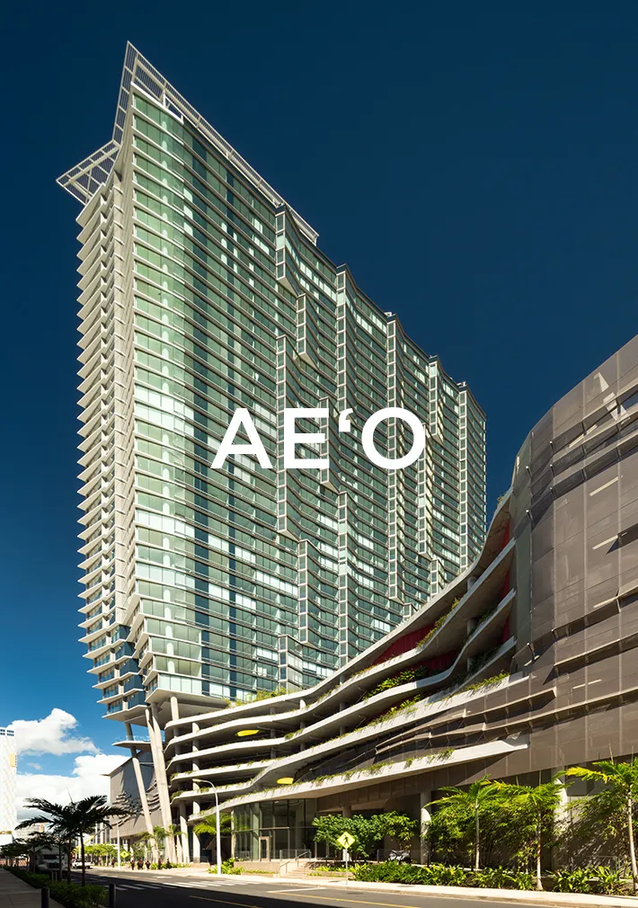 Aeo